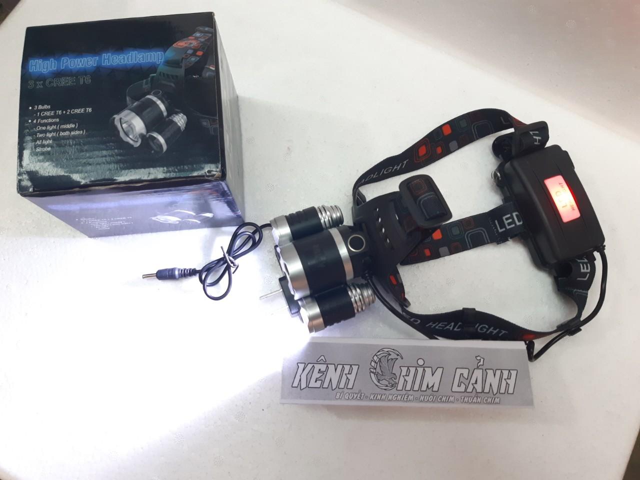 đèn pin đội đầu 3x-Kênh Chim Cảnh