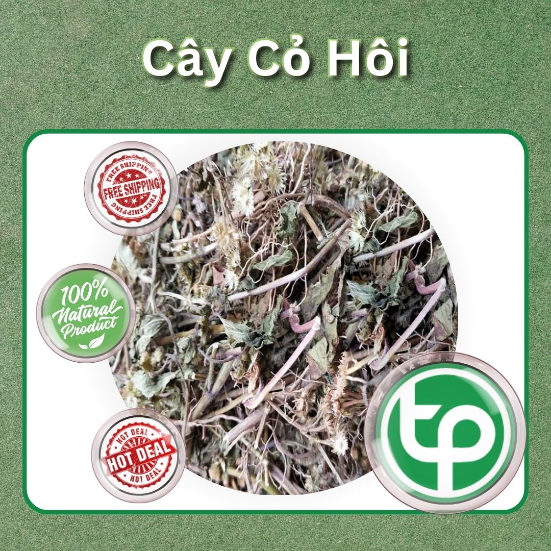Cây cỏ hôi sấy loại khô 1kg, Cây cứt lợn khô - Hàng sạch xanh chất lượng cao có giá tốt - Thảo Dược Tấn Phát