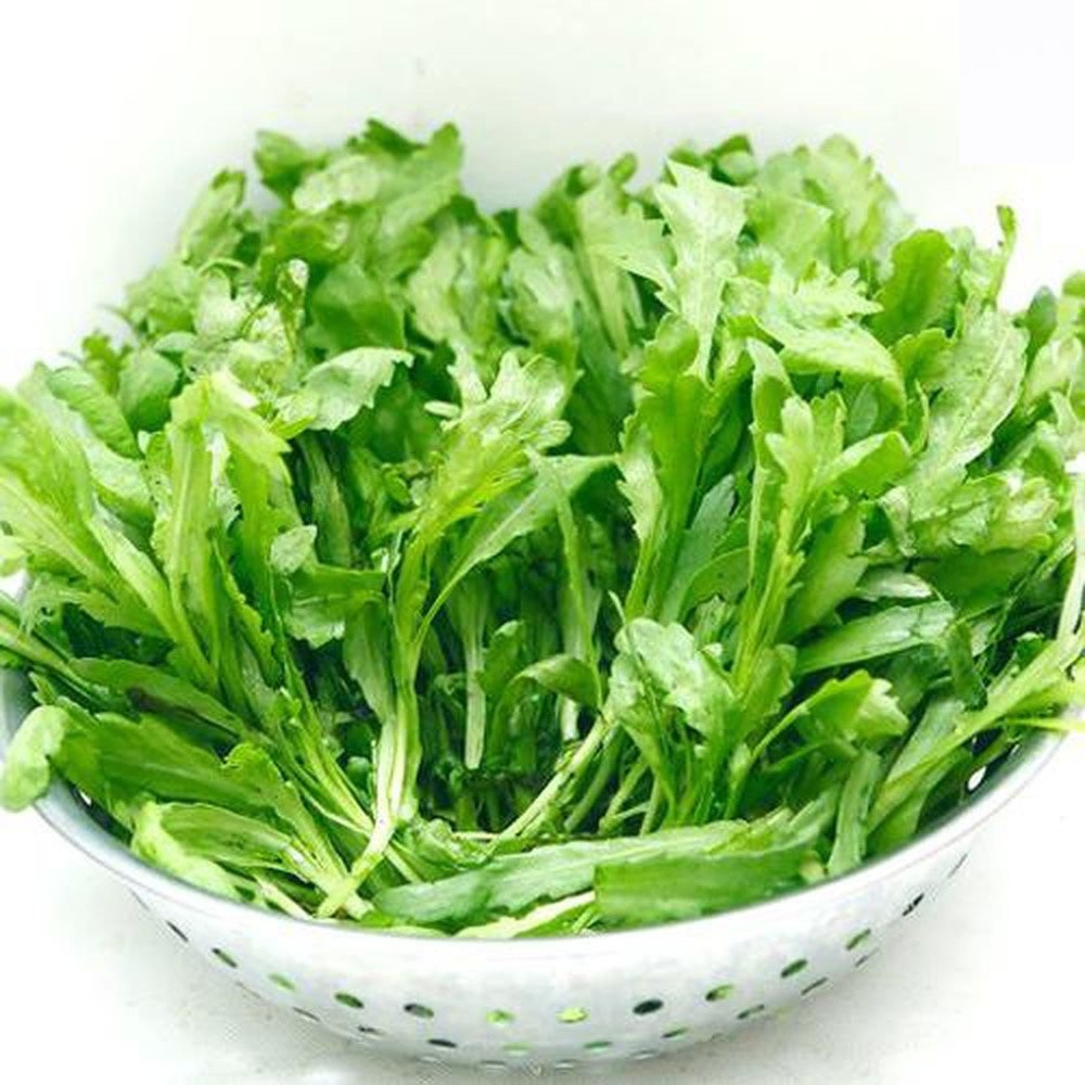 Hạt giống cải cúc tẻ (rau tần ô) CT528 - Gói 10gram