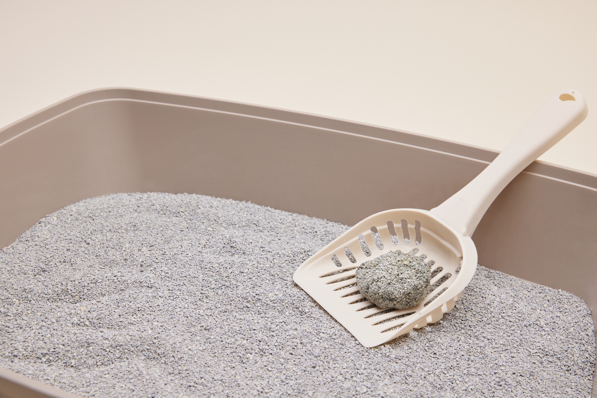 [Hcm] Boxiecat Litter Cat Litter Made in the Us