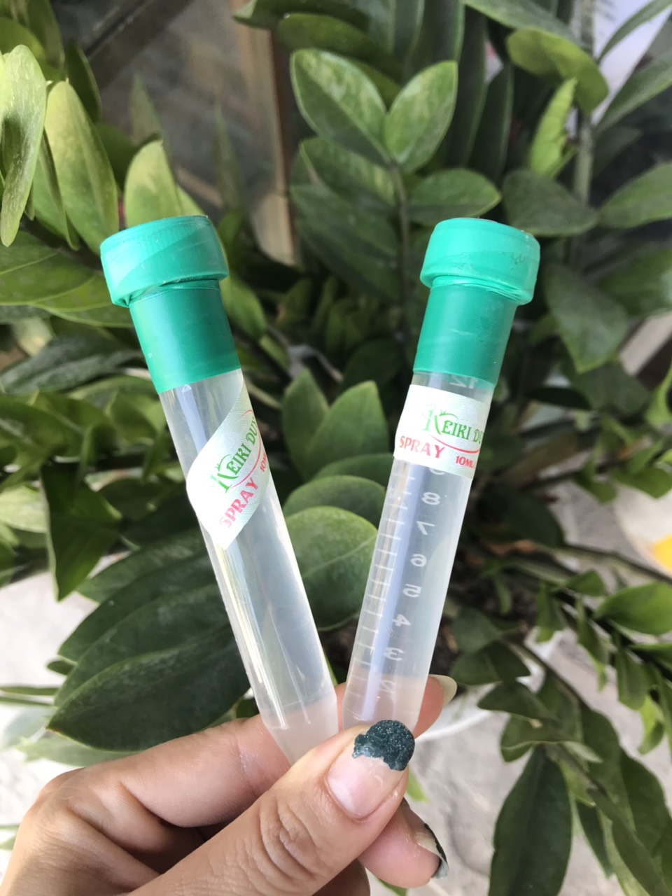 Kích mầm hoa lan - Keiki Duy Spray
