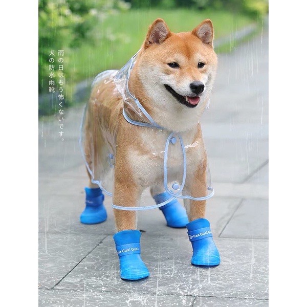 Giày đi mưa cho chó mèo