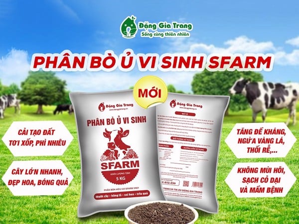 Phân Bò Ủ Vi Sinh Sfarm Bao 5kg