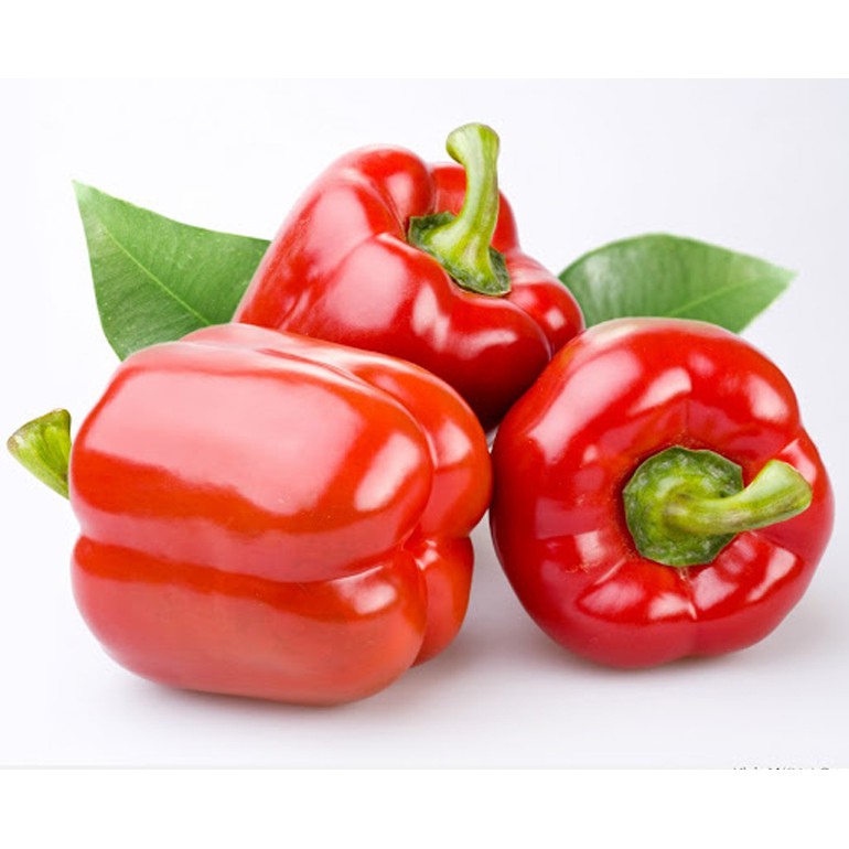 [HCM][gói 0.1g] Hạt Giống Ớt Chuông Sai Trái