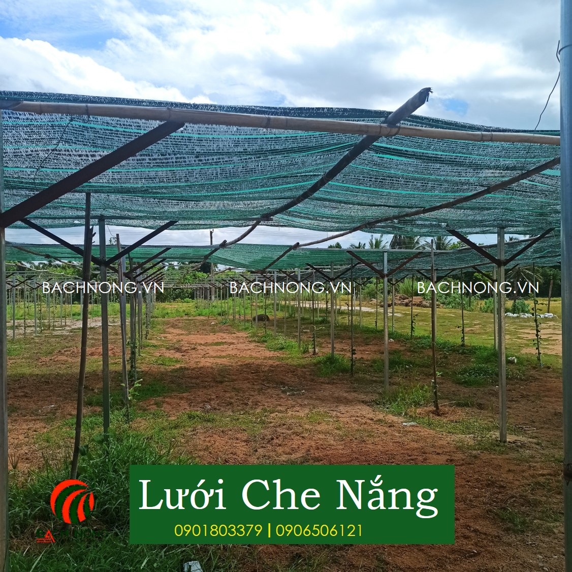 Tấm Lưới Che Nắng 2mx10m, Lưới Thái che phủ 70%