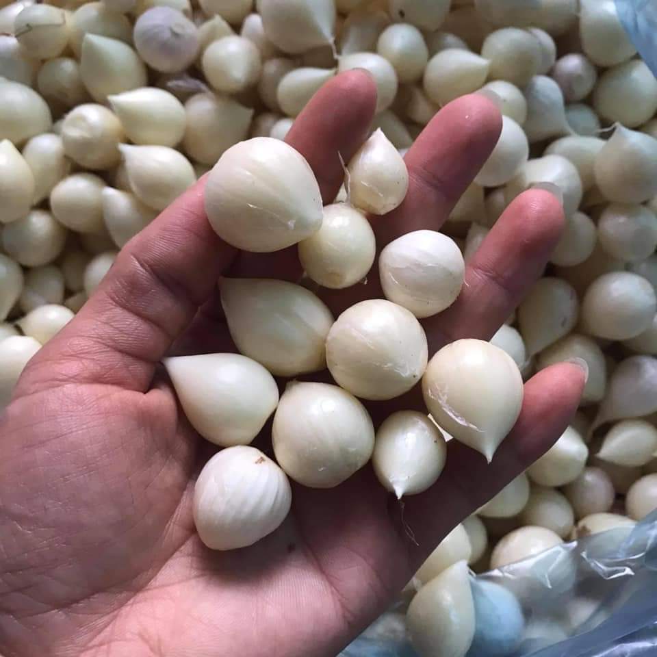 Tỏi cô đơn Sơn La 1kg