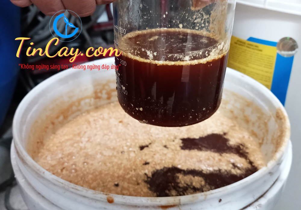 CHẾ PHẨM SINH HỌC EM GỐC (EM1) CHAI 1 LÍT