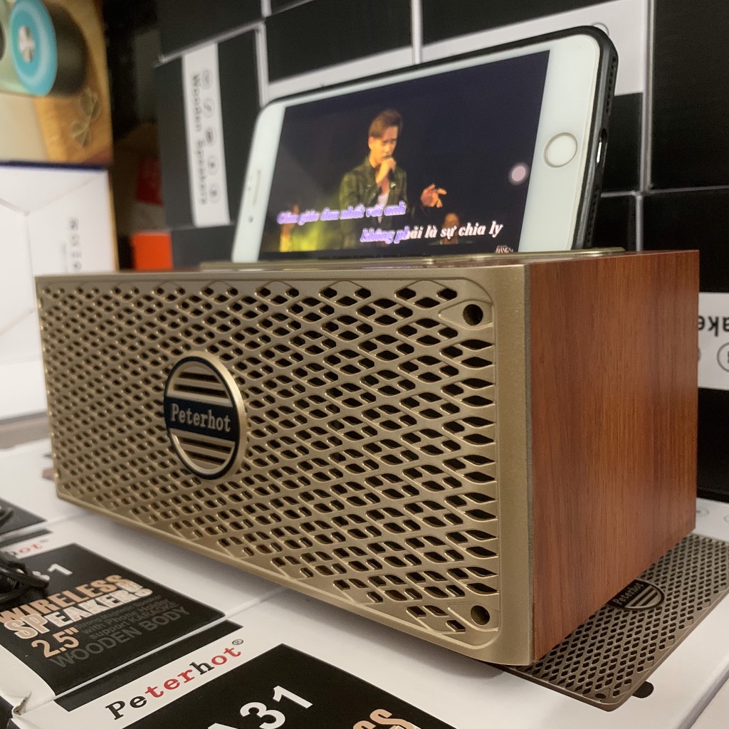 Loa Bluetooth Kèm Mic A31 hát karaoke hoặc dùng giảng dạy