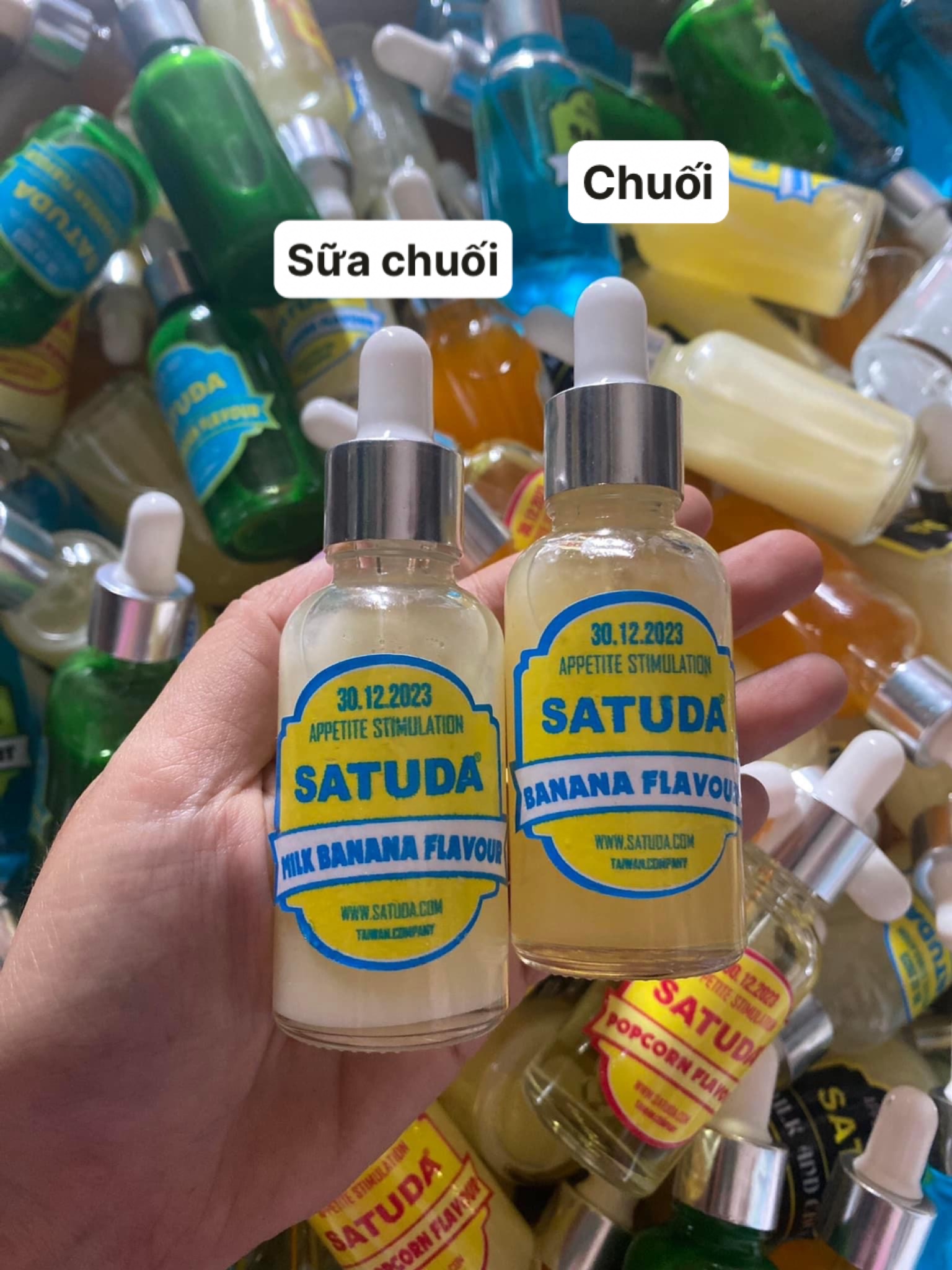 TINH MÙI CÂU CÁ SATUDA