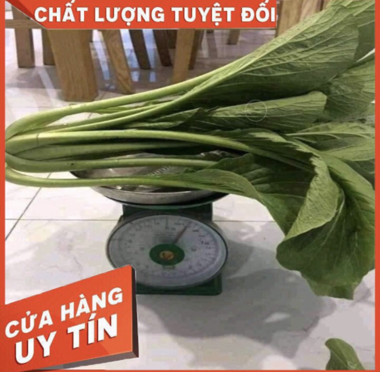 HẠT GIỐNG CẢI NGỌT KHỔNG LỒ THÁI LAN