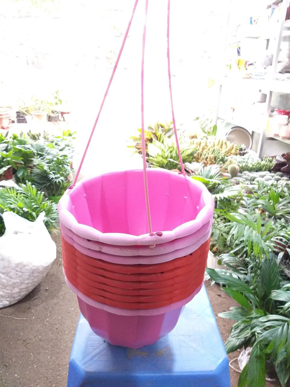 10 chậu nhựa bí có móc treo