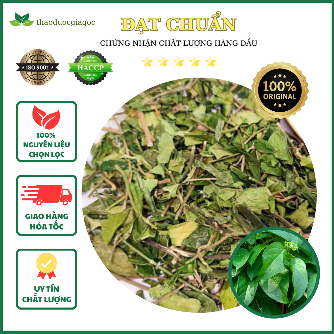 1kg dây thìa canh xanh sạch đẹp.