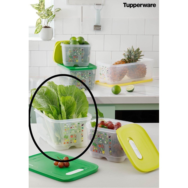 Hộp trữ mát Vensmart 4.4L Tupperware