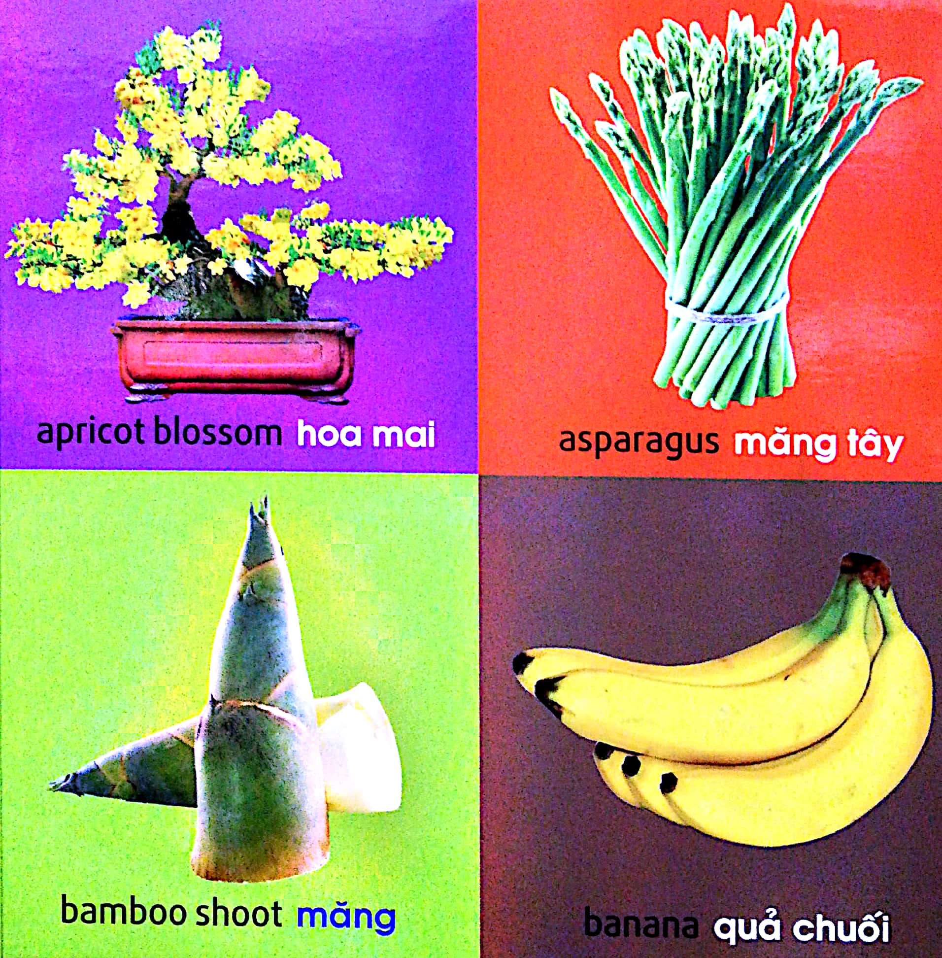 Fahasa - 101 First Words - Plants / 101 Từ Đầu Tiên - Thực Vật