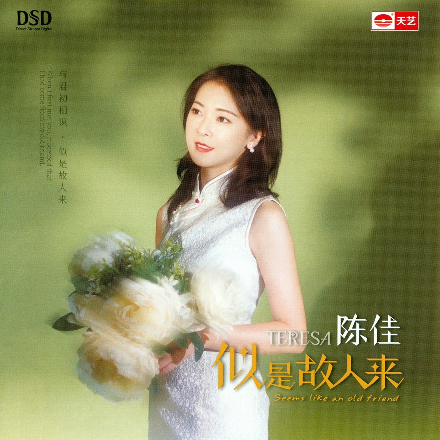 Chen jia 陈佳 - 似是故人来 seem like an old friend