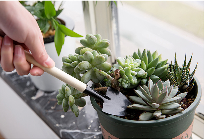 ⚡⚡ [SALE GIÁ RẺ] Bộ Xẻng Cào Mini trồng cây cảnh 3 Món (21cm) FUNO