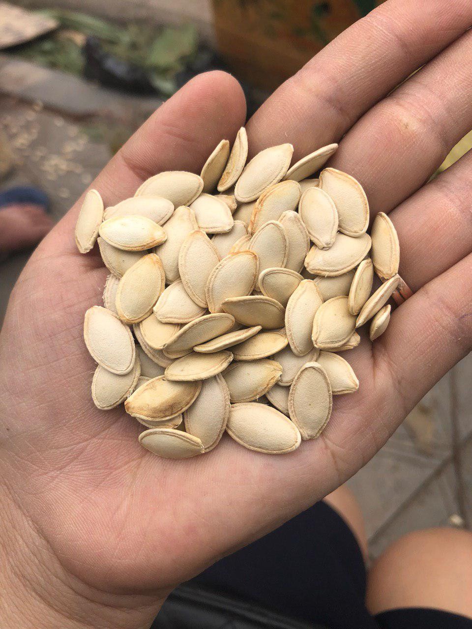 500gr hạt bí ta rang tay thơm ngon - 500bi