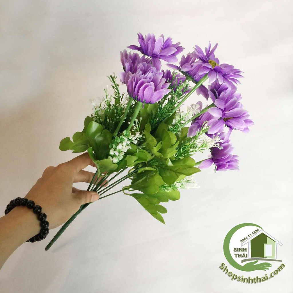 [HCM]Bụi hoa cúc thạch thảo màu tím - bụi cao 38cm