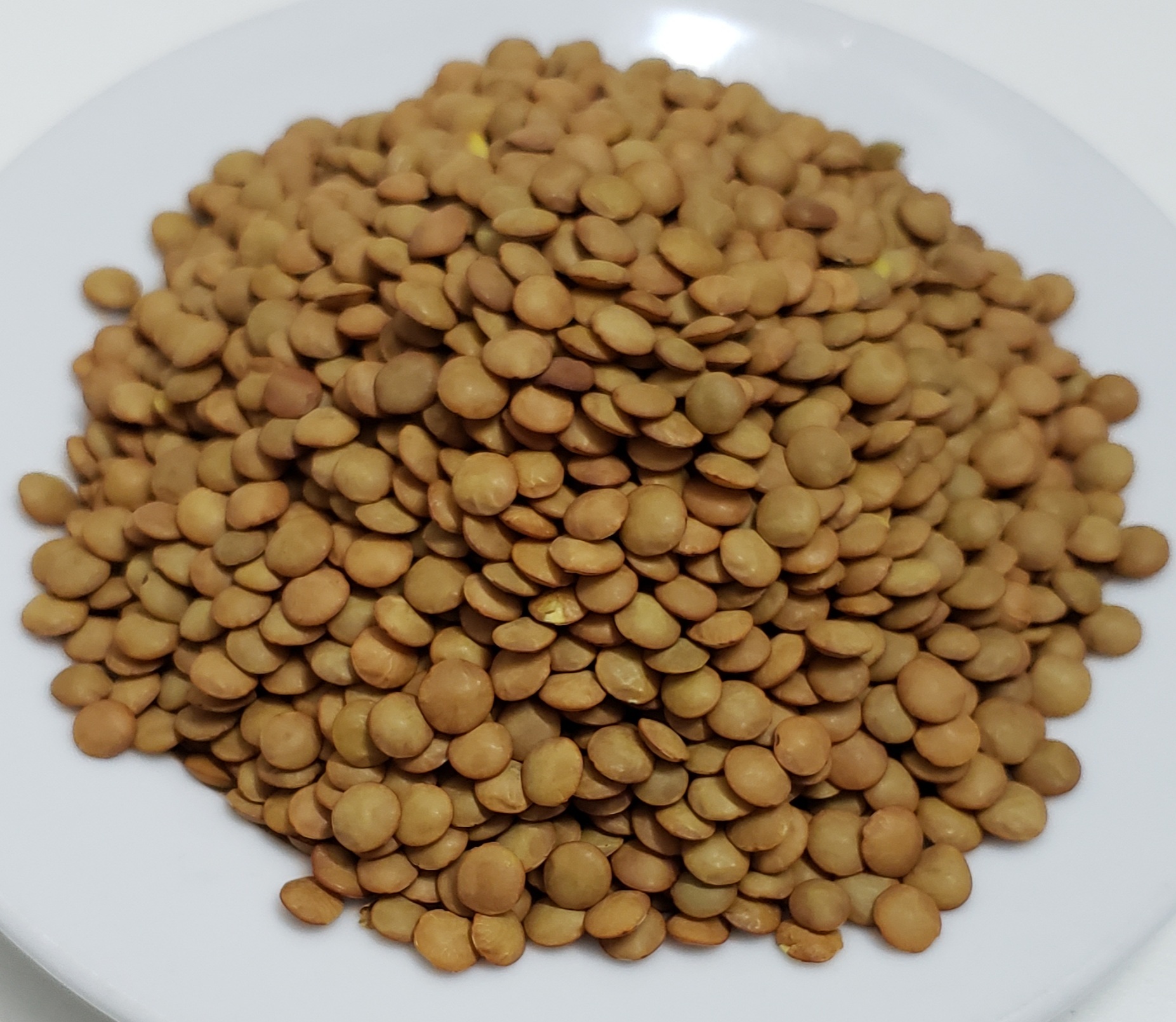 [HCM]Đậu Lăng Xanh (Green Lentils) - Canada. 500g