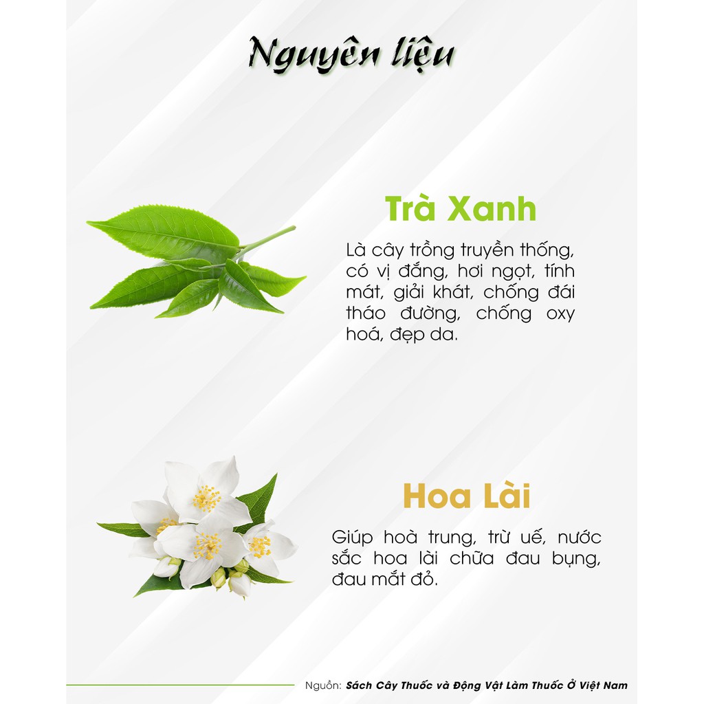 TRÀ LÀI -  Hiệu trà Hùng Phát