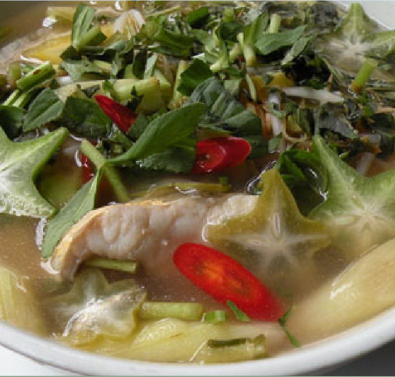 Hạt giống cây khế chua - 5 hạt/gói