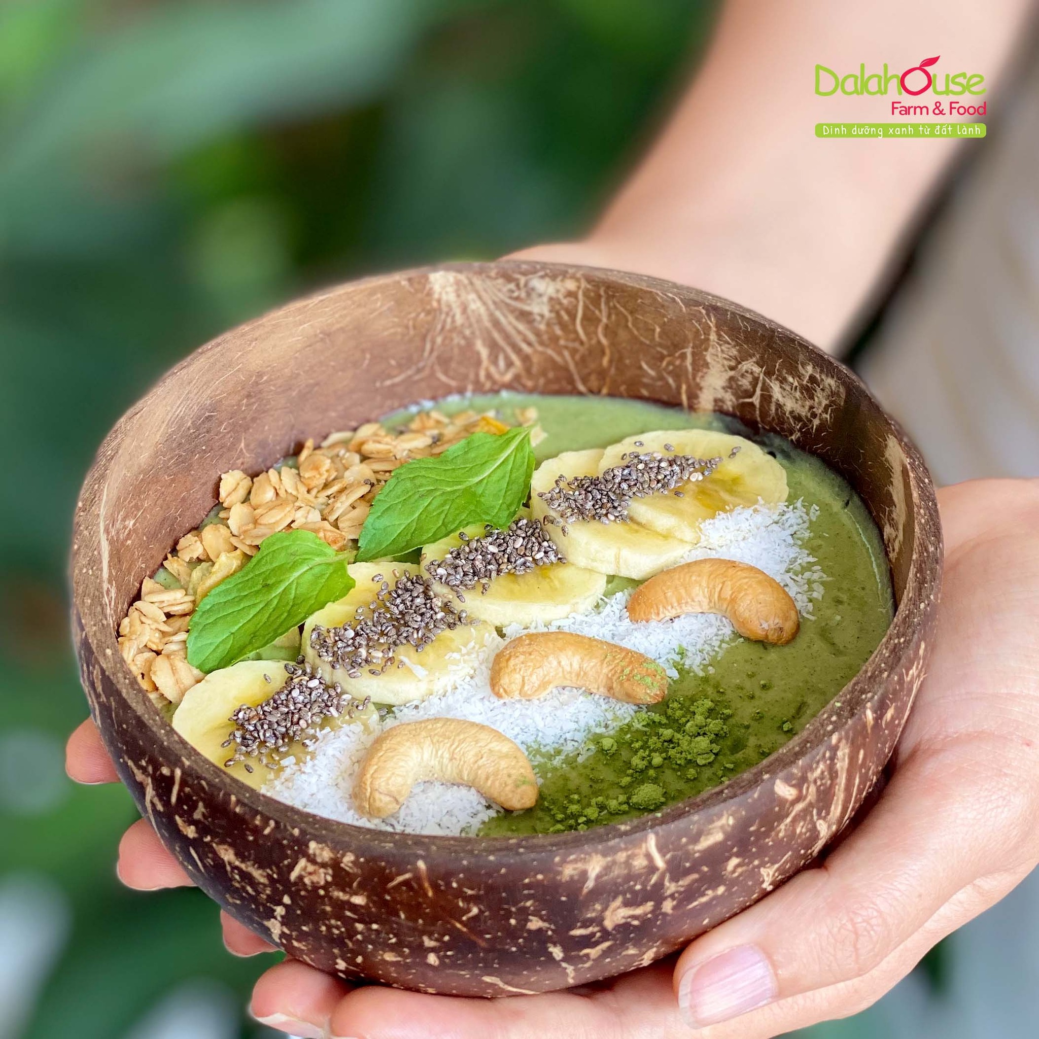 Bột cỏ lúa mì sấy lạnh Dalahouse hộp 120g