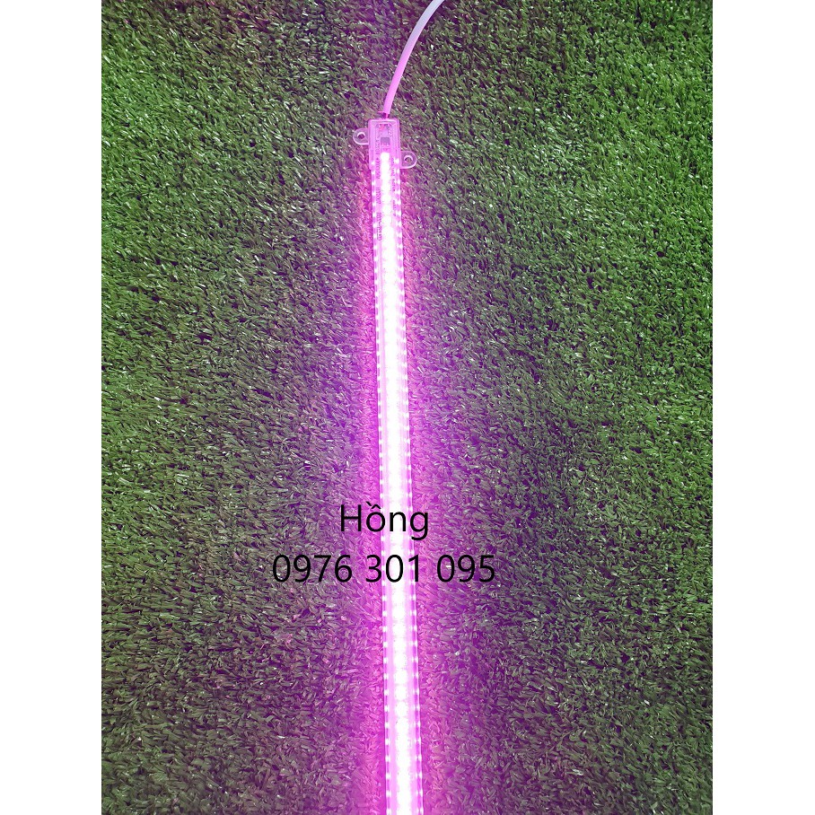 Đèn Led thanh điện trực tiếp 220V - 30cm (6 Màu)