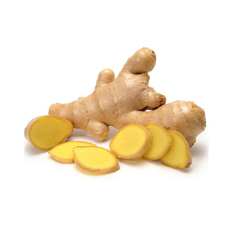 Gừng Tươi - Thực Phẩm Chia Sẻ