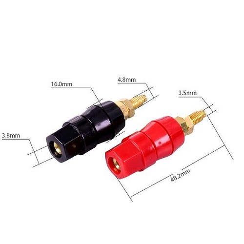 02 Cọc loa bắp chuối loại dài