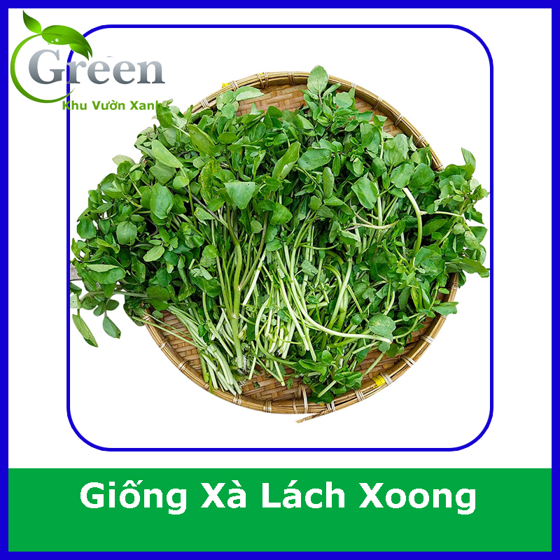 Hạt Giống Xà Lách Xoong Dễ Trồng, Thu Hoạch Nhanh