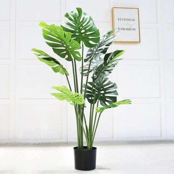 Cây Monstera giả 80 cm