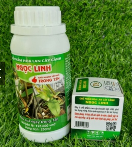 Combo diệt thối nhũn a8 - t8 ngọc linh