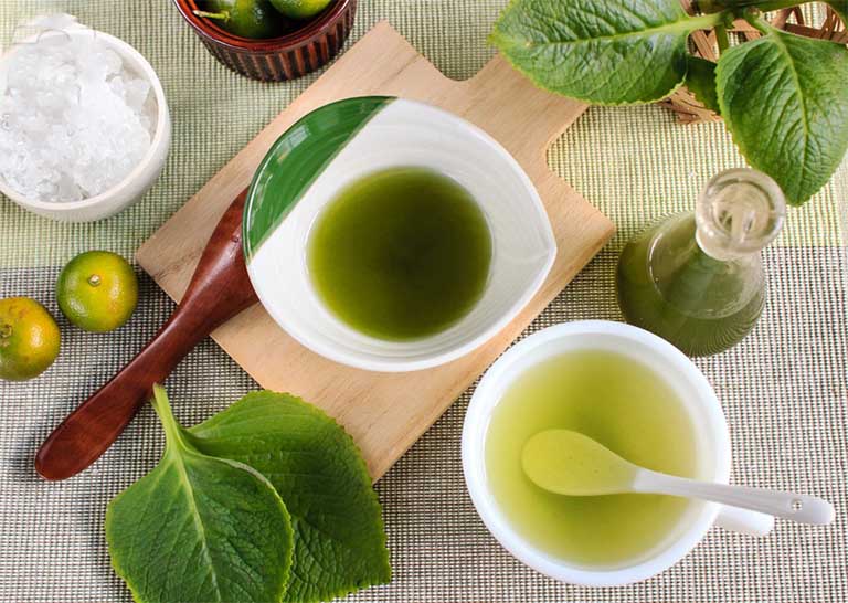 [HCM]chậu rau tần dày lá