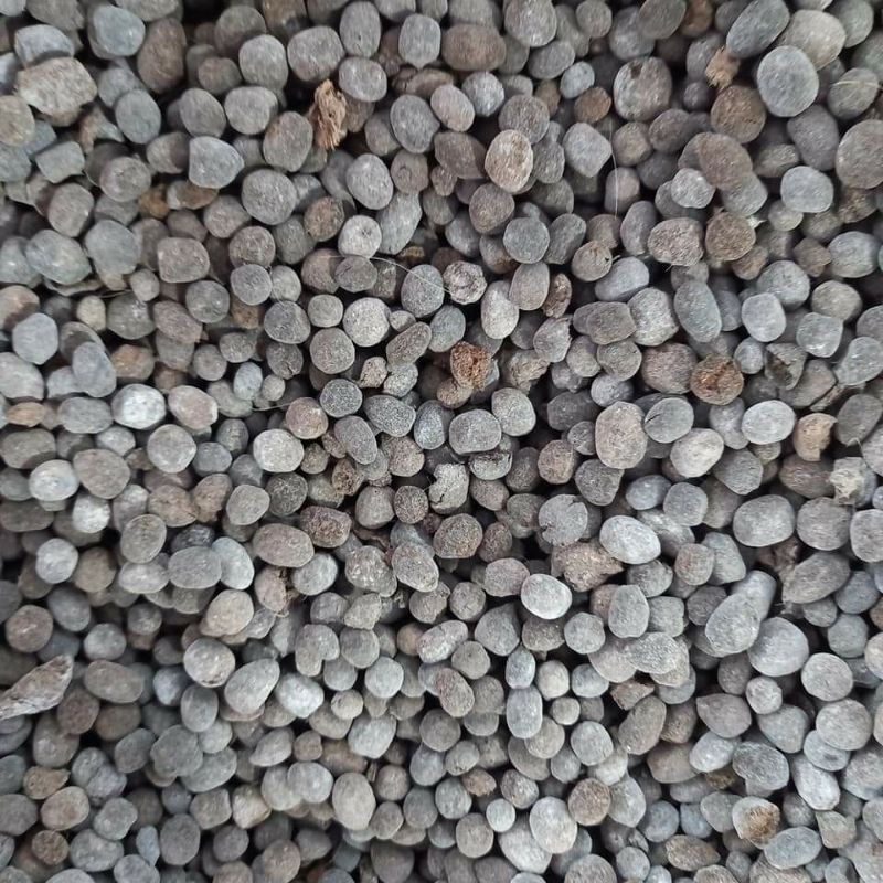combo 50 túi phân dê 15cm chỉ 89k, phân dê đóng túi