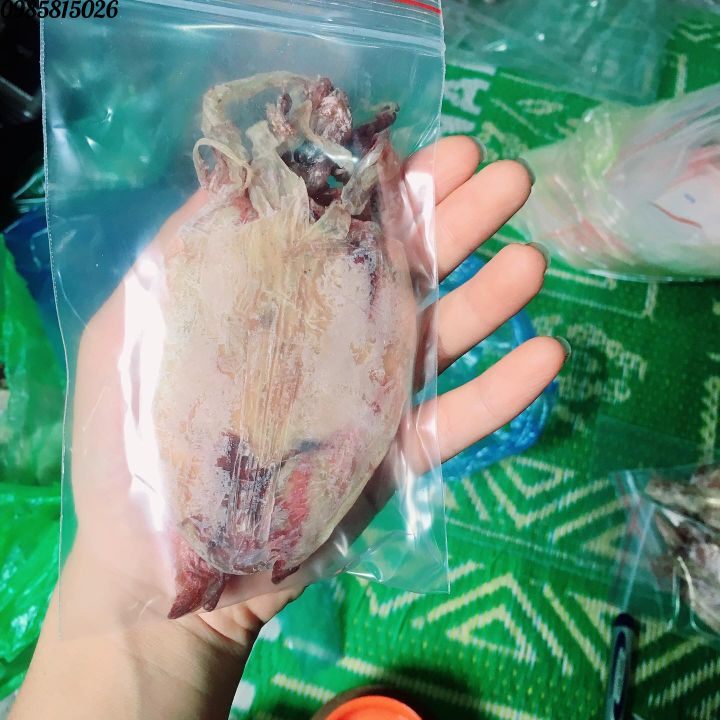10 con mực khô ngon y hình