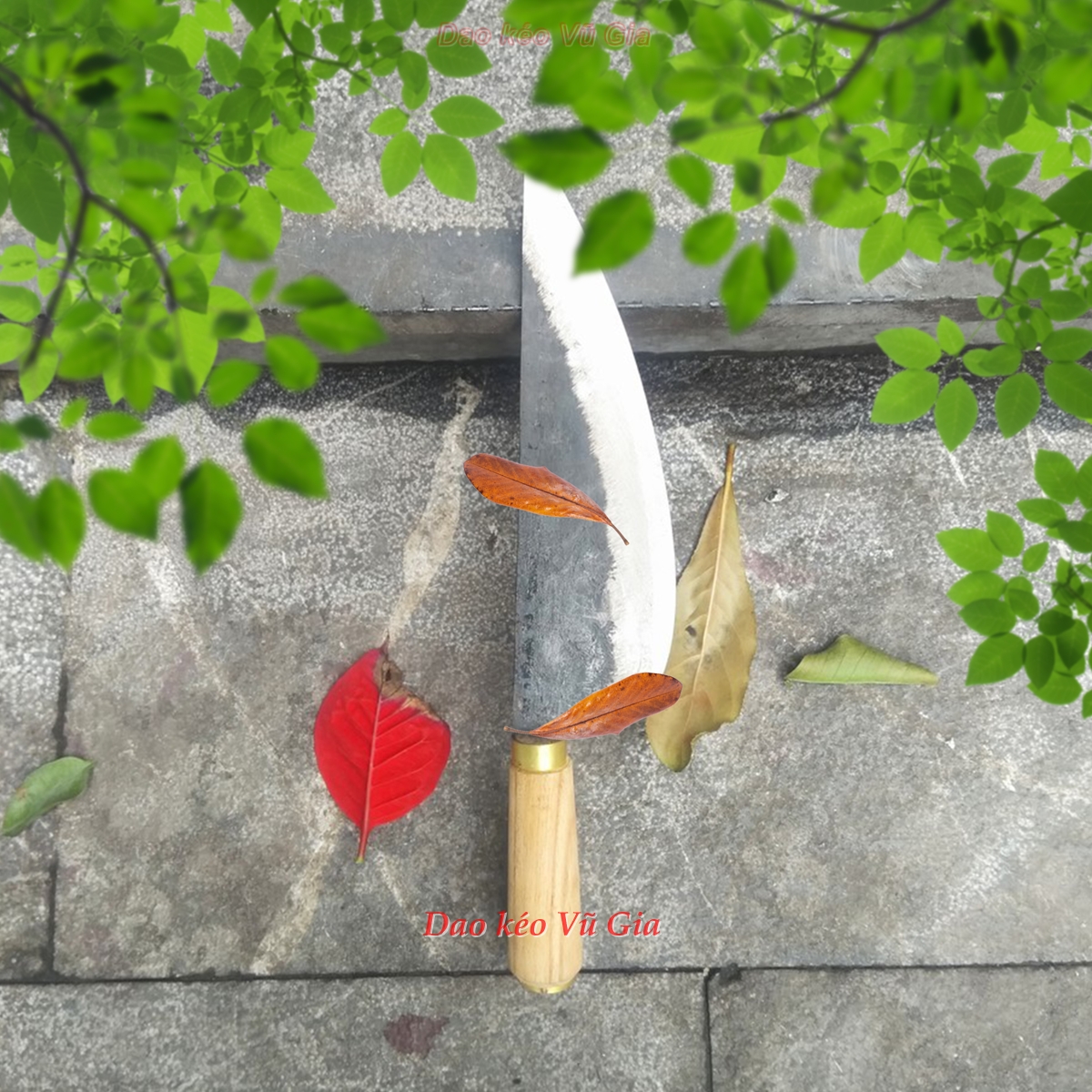 Dao bầu lọc thịt đủ loại
