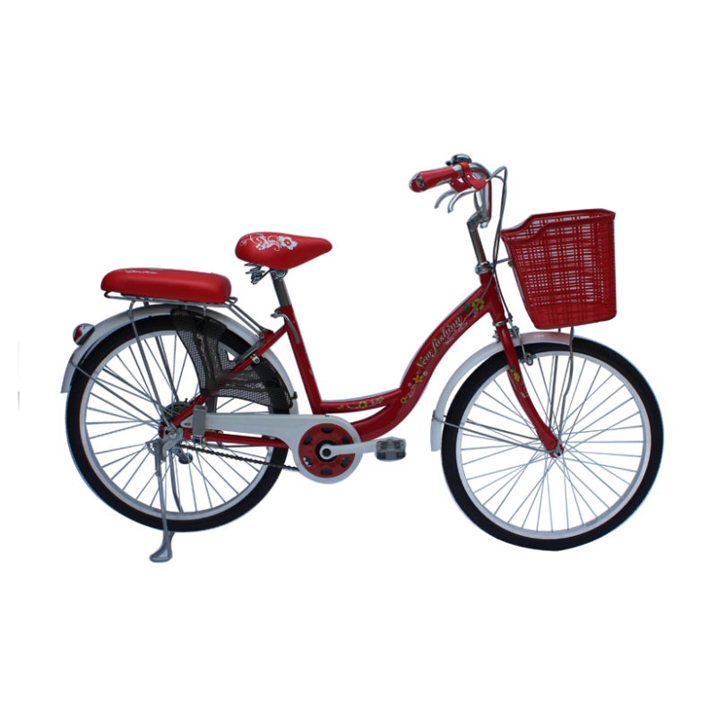 Mua Xe đạp thông dụng SMNBike WR 24-01  ( 24 inch )