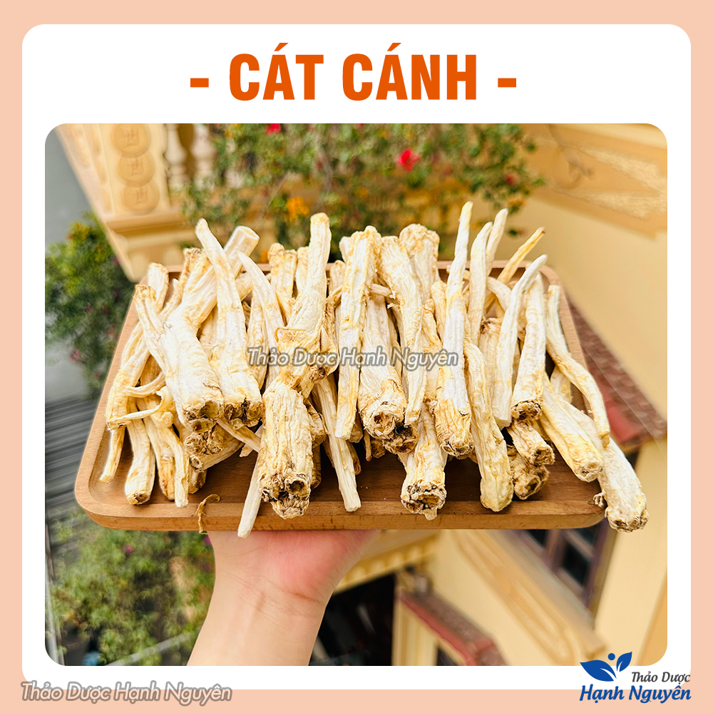 Cát cánh 1kg, khô, nguyên củ, thơm, sạch, giúp giảm ho, đau họng tiêu đờm, bổ phế