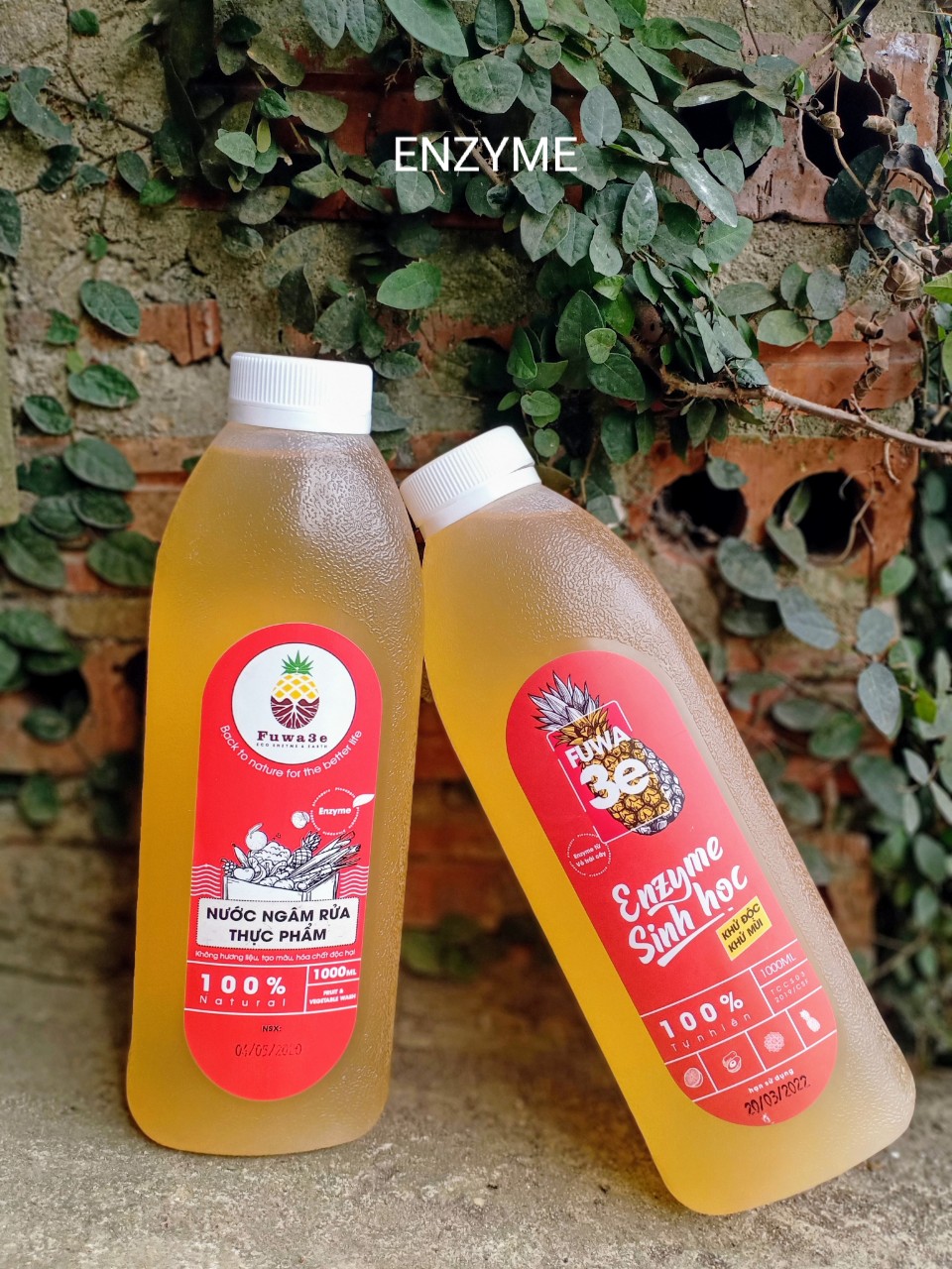 Nước ngâm rửa thực phẩm Fuwa3e