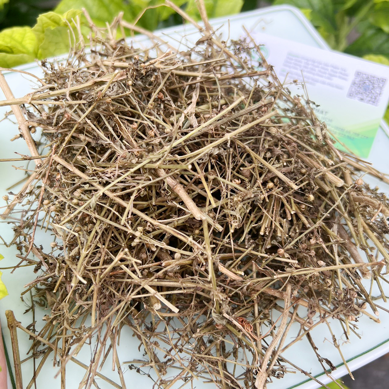 [Hàng mới về] Cam thảo nam sấy khô 500g - Tấn Phát - Chuyên dùng để pha trà và sắc nước uống