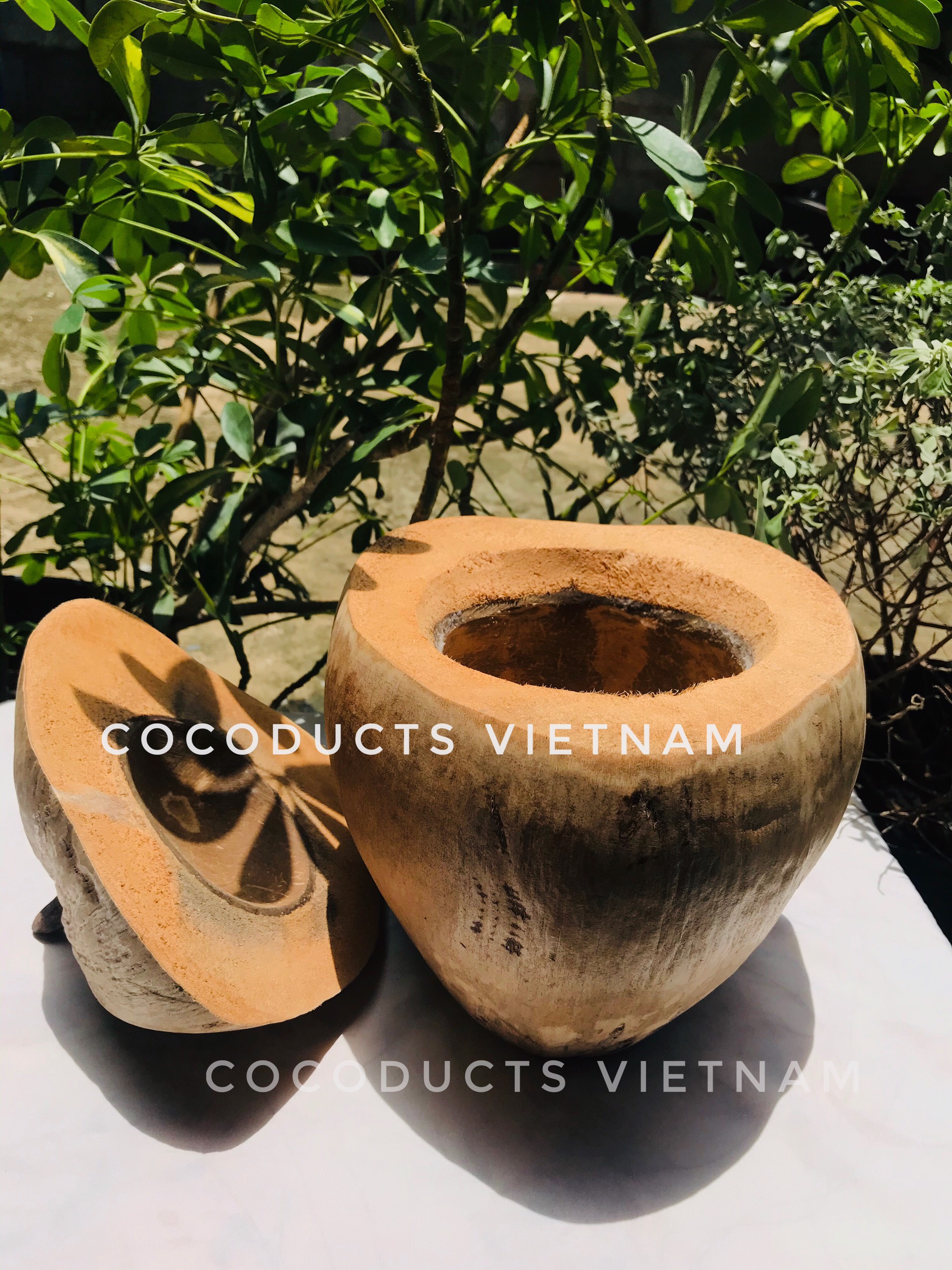 [HCM]Vỏ bình trà gáo dừa truyền thống