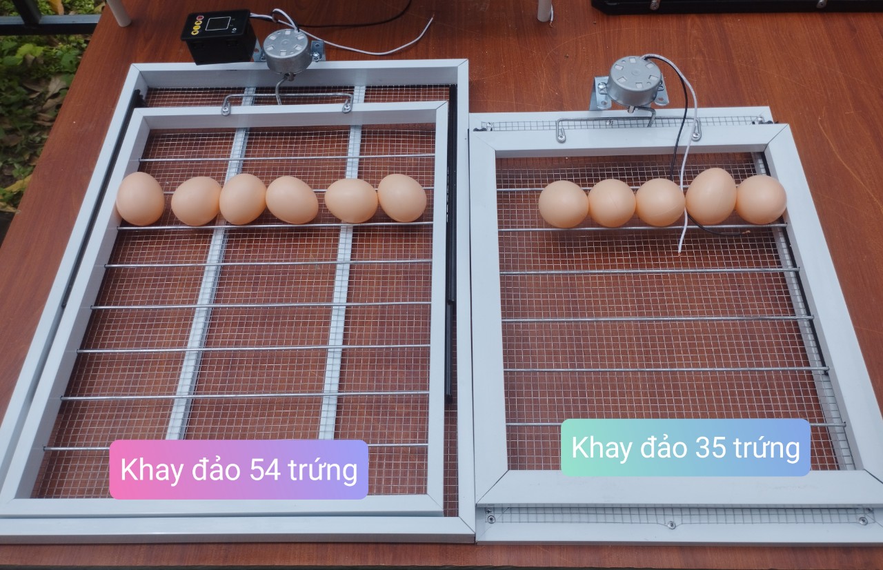 khay đảo máy ấp trứng gà, vịt tự động