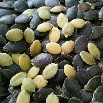 500g hạt bí mèo đen rang chín