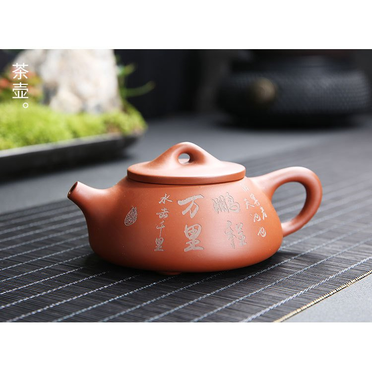 Ấm trà Tử Sa Thạch Biều