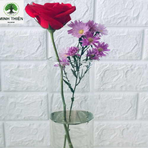 [HCM]Bình Thủy Tinh Cắm Hoa Trụ Ống 12cm x 30cm