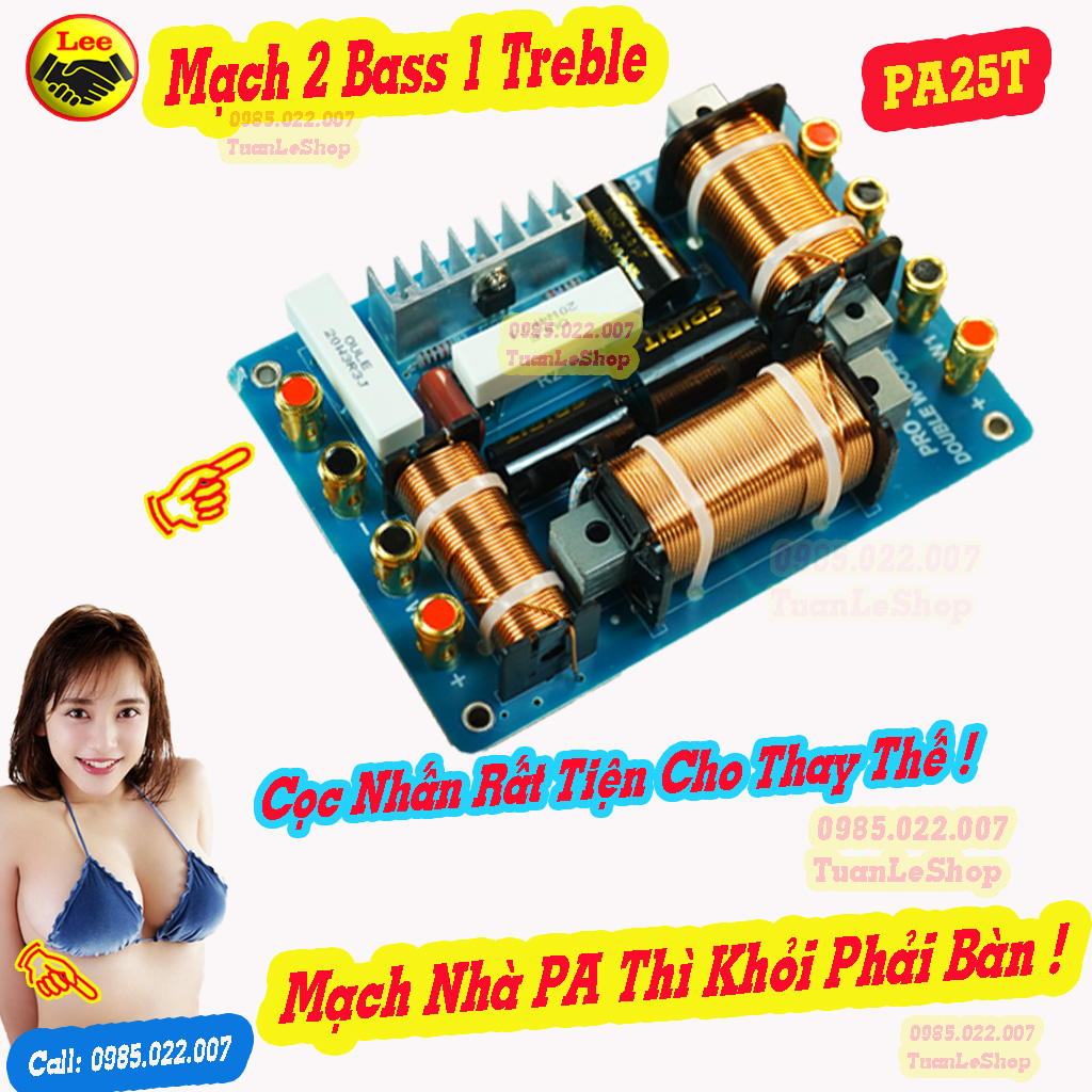 MẠCH FULL ĐÔI BASS 30,40,50 - MẠCH PHÂN TẦN 2 BASS 1 TREBLE PA25T  - GIÁ 2 MẠCH - MẠCH LOA BASS ĐÔI CÔNG SUẤT LỚN