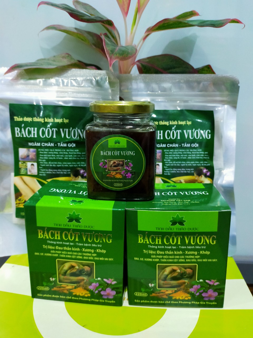 Tinh dầu xoa bóp Bách Cốt Vương