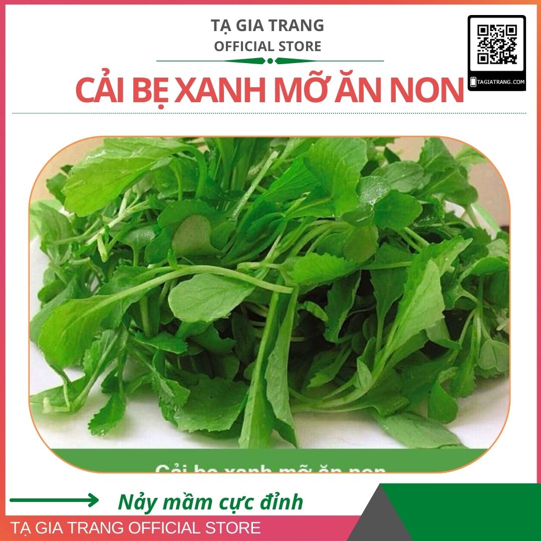 Hạt giống cải xanh ăn non