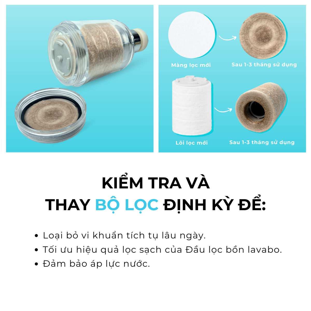 Bộ Đầu Vòi Tăng Áp Lọc Nước Daily Aqua Dành Cho Bồn Rửa Chén, Rửa Tay, Rửa Mặt, Bồn Lavabo