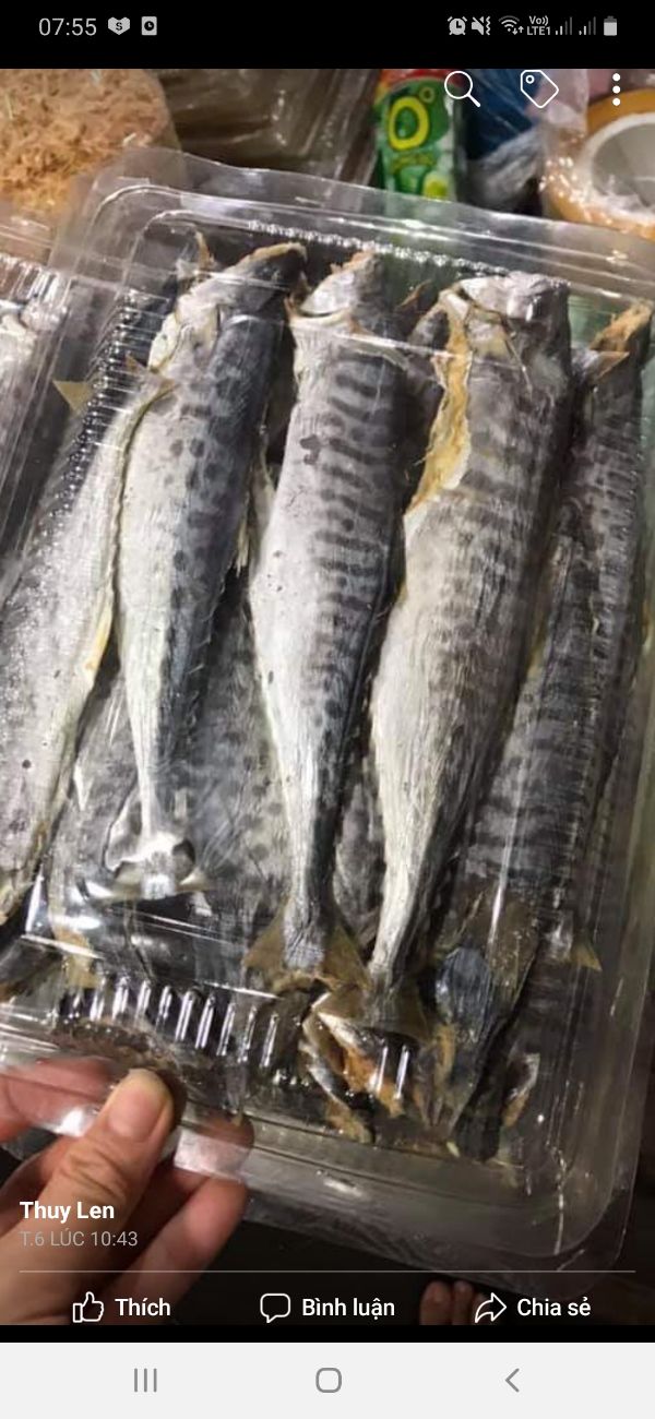 0,5KG CÁ THU KHÔ THỊT DAI CHẮC